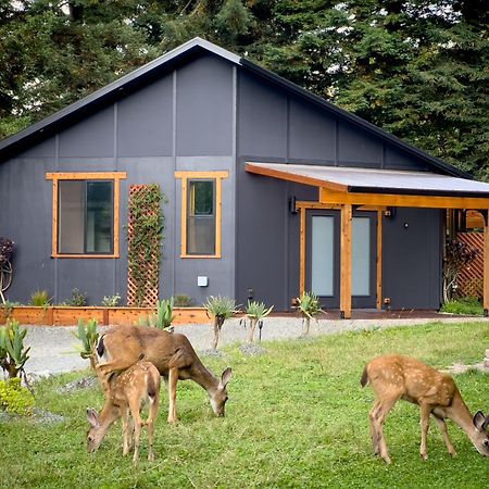 New, Modern, Country-Feel, Close To Arcata Luaran gambar
