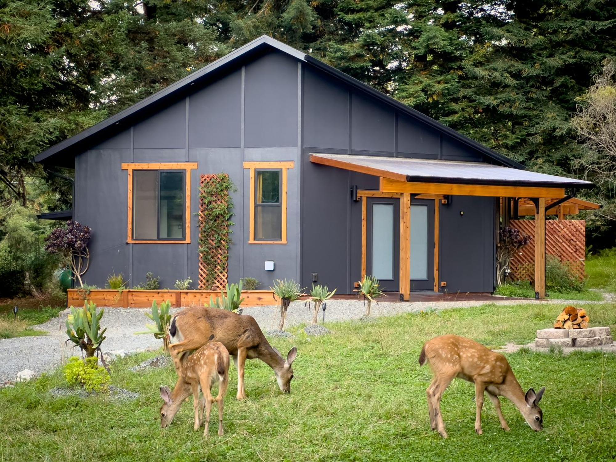New, Modern, Country-Feel, Close To Arcata Luaran gambar